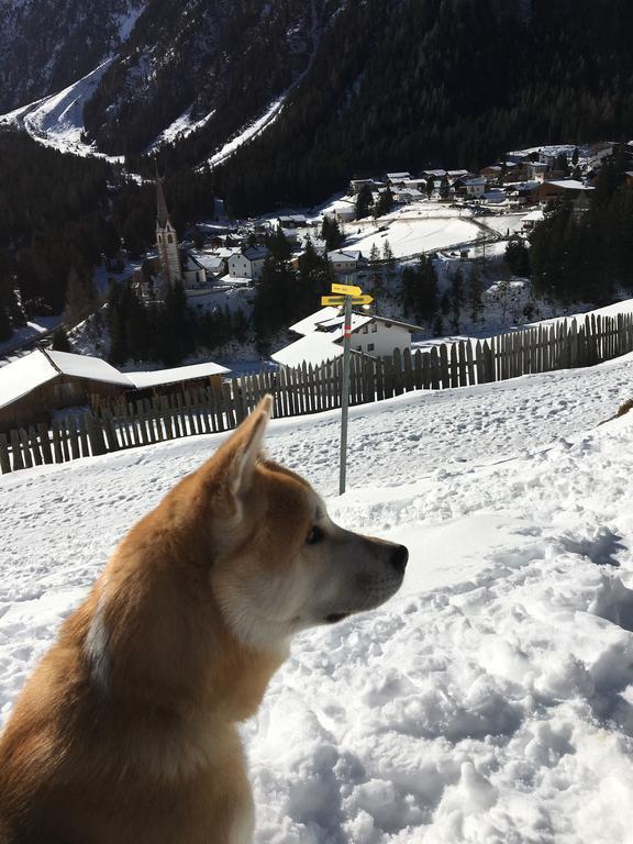 Pension Alpenrose Sankt Sigmund im Sellrain Екстериор снимка