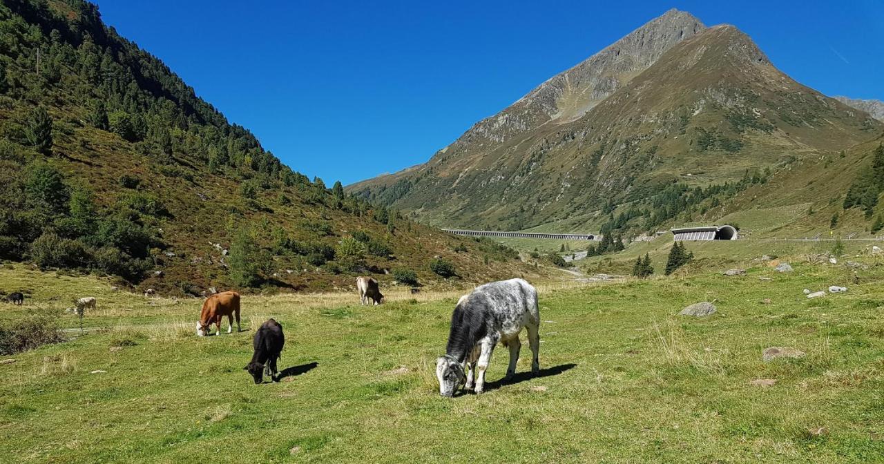 Pension Alpenrose Sankt Sigmund im Sellrain Екстериор снимка
